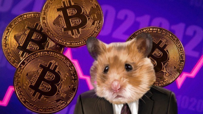 A Hamster Beats Giants in Crypto Trading - TechnoPixel