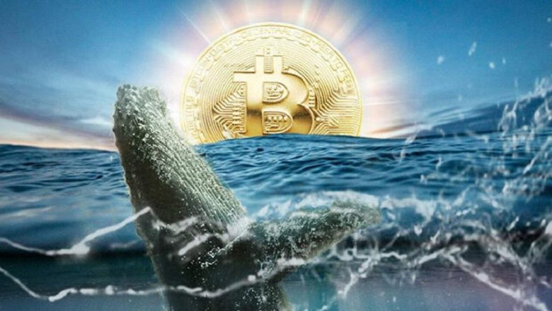 As Bitcoin attracts “mega whales,” the price of BTC has formed new support at .8K